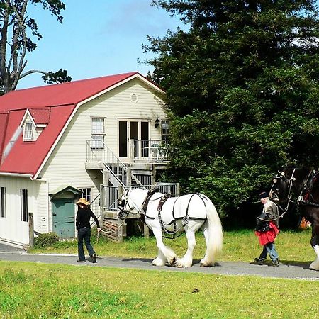 The Carriage House-Bay Of Islands Villa Kerikeri Luaran gambar